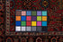 Antique NW Persian Runner Rug (3' x 15')